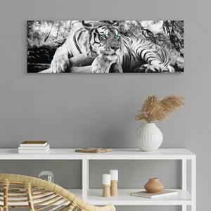 Home affaire Deco-Panel "Tiger guckt dich an"