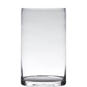 Hakbijl glass Vaas - cilinder - glas - transparant - 20 x 15 cm