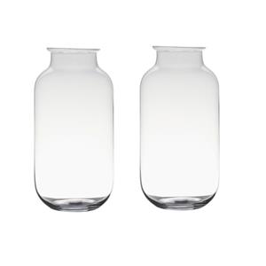Set van 2x stuks transparante home-basics vaas/vazen van glas 35 x 17 cm -