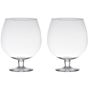 2x stuks transparante luxe stijlvolle Brandy vaas/vazen van glas 24 cm -