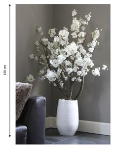 Decoratietakken Bloesemboom Wit zonder pot | Dubbel vertakt | 150cm