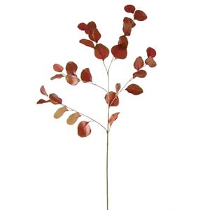 Decoratietakken Eucalyptus - Rood/Groen - 85cm