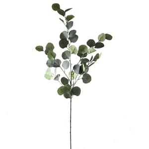 Decoratietakken Eucalyptus Groen 85 cm