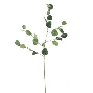 Decoratietakken Eucalyptus - 85cm