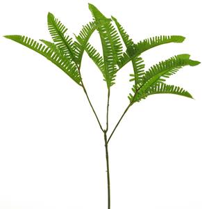 Decoratietakken Varenblad klein | Groen | 40cm