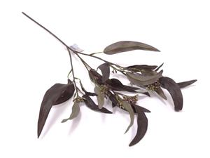 Decoratietakken Kunsttak Eucalyptusblad smal | Aubergine | 60cm