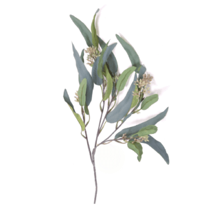 Decoratietakken Kunst Eucalyptusblad smal | Groen | 60cm