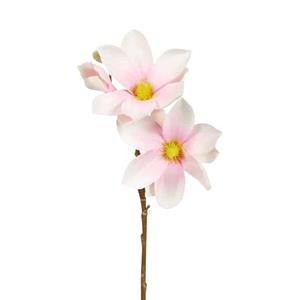 Decoratietakken Magnolia Roze - Wit 40 cm