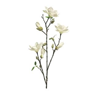 Decoratietakken Magnolia - Wit - 85cm