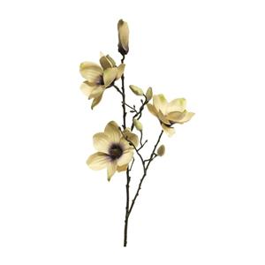 Decoratietakken Magnolia - Ivoor/Paars - 80cm
