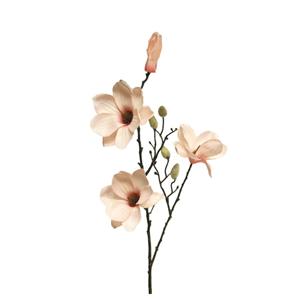 Decoratietakken Magnolia - Lichtzalm - 80cm