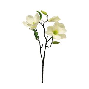 Decoratietakken Magnolia - Wit - 60cm