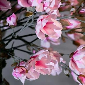 Decoratietakken Magnolia - Roze - 110cm