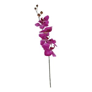 Decoratietakken Orchidee - Paars - 75cm