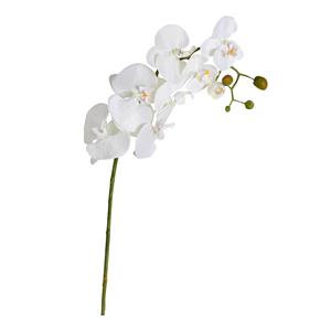 Decoratietakken Orchidee - Wit - 100 cm