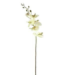 Decoratietakken Orchidee - Zachtgroen - 85cm