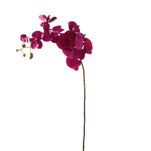 Decoratietakken Orchidee - Magenta - 100cm