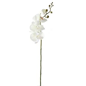 Decoratietakken Orchidee Wit 85 cm