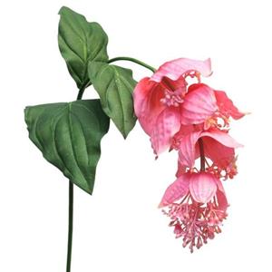 Decoratietakken Medinellabloem - Roze - 110cm