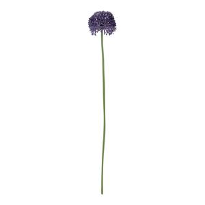 Decoratietakken Allium klein - Paars - 50cm