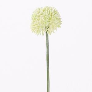 Decoratietakken Allium groot - Wit - 65cm