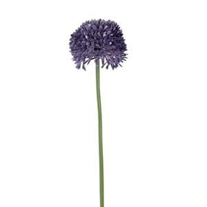 Decoratietakken Allium groot - Paars - 65cm