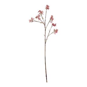 Decoratietakken Arborescens - Zachtroze - 60cm