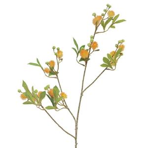 Decoratietakken Mimosa - Oranje - 100cm