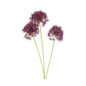 Decoratietakken Allium - Fuchsia - 60cm