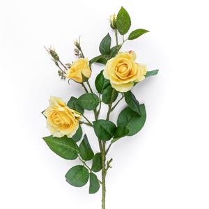 Decoratietakken Wilde roos - Geel - 75cm