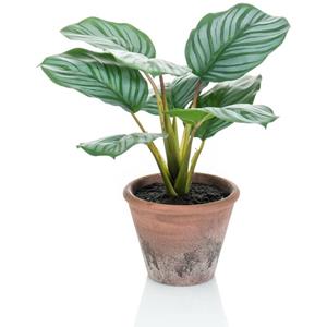 VidaXL Kunstplant in pot Terra calathea orbifolia 32 cm