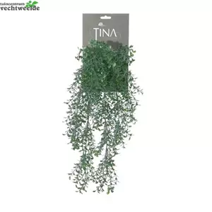 Tina Collection Buxus hanger l50cm groen header