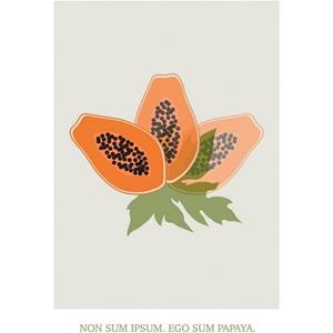 Komar Artprint Cultivated Papaya (1 stuk)