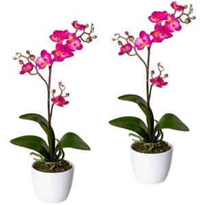 Creativ green Kunstpflanze "Orchidee Phalaenopsis"