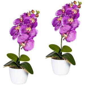Creativ green Kunstpflanze "Orchidee Phalaenopsis"