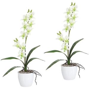 Creativ green Kunstplant Orchidee Dendrobie in een keramische pot (set, 2 stuks)