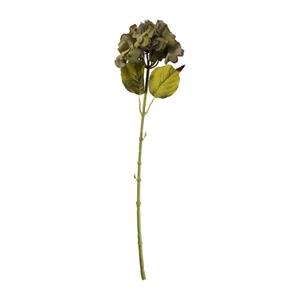 Xenos Hortensia tak - groen - 64 cm
