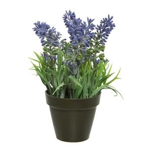 Lavendel im schwarzen Topf ø 7 cm - Kunstpflanzen - Kaemingk