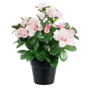 Louis maes Kunstbloemen Azalea - In Pot - Wit/roze - H25 Cm