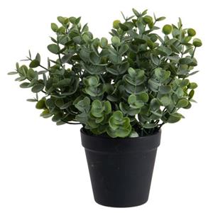 Louis maes Eucalyptus Kunstplant - In Pot - Groen - H28 Cm