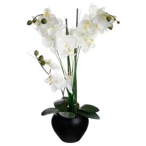 Künstliche Orchidee - schwarze Keramikvase - H53 cm - Atmosphera - Schwarz