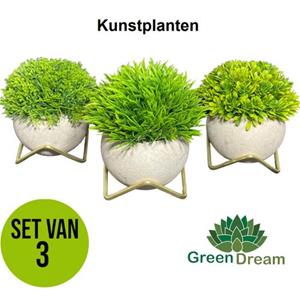 GreenDream Kunstplanten Voor Binnen - 15x12 Cm - Set Van 3 Stuks - Vetplanten - Cadeautip