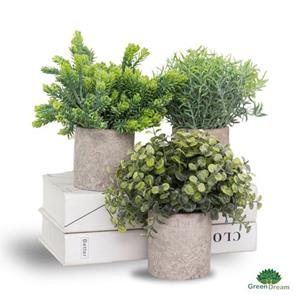 GreenDream Kunstplanten Set Met 3 Kleine Kunstplanten - Kunstplanten - 20cm Hoogte