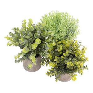 GreenDream Kunstplanten - Kleine Kunstplanten - Kamerplanten - 3 Stuks - Kunstplanten 20cm