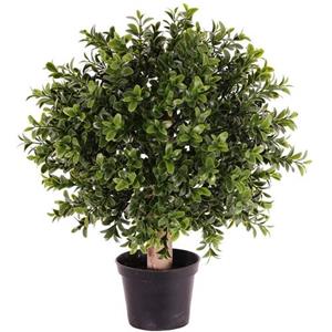 Bellatio Flowers And Plants Buxus Bol Kunstplant Op Stam D25 Cm