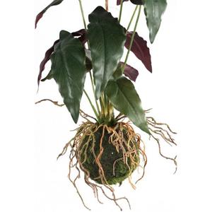 PTMD Collection Ptmd Trifolium Kunstplant - 30 X 28 X 42 Cm - Kunststof - Groen