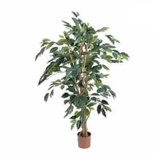 Mica Decorations Ficus Benjamina 105x60 Cm Groen In Plastic Pot - Groen