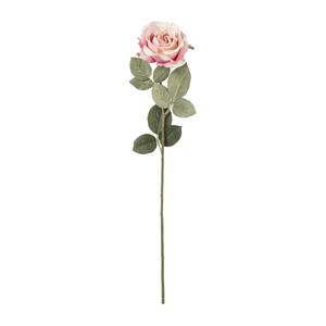 Xenos Kunstbloem roos - roze - 64 cm