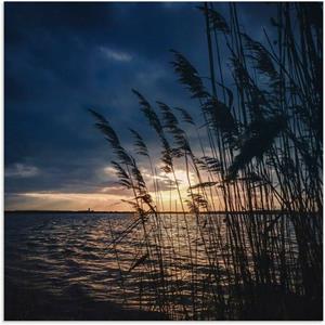 Artland Alu-Dibond-Druck "Sonnenuntergang mit Schilf am See", Seebilder, (1 St.)