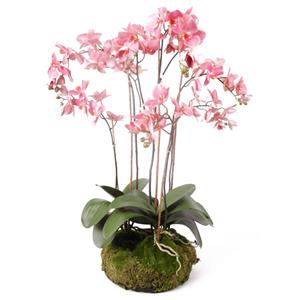 VidaXL Kunstplant orchidee met mos roze 75 cm 417662